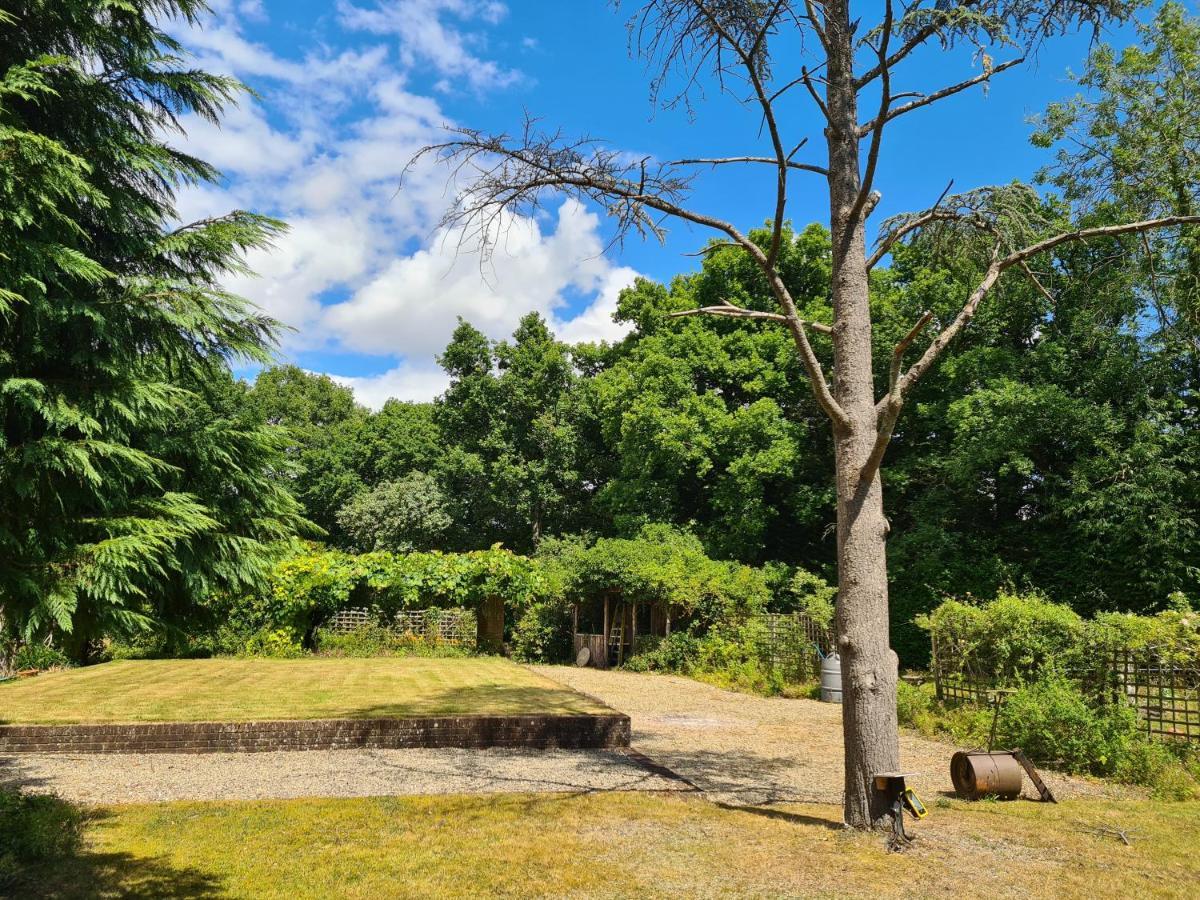 The Reading Whole Apartment With Private Lake And Gardens Экстерьер фото