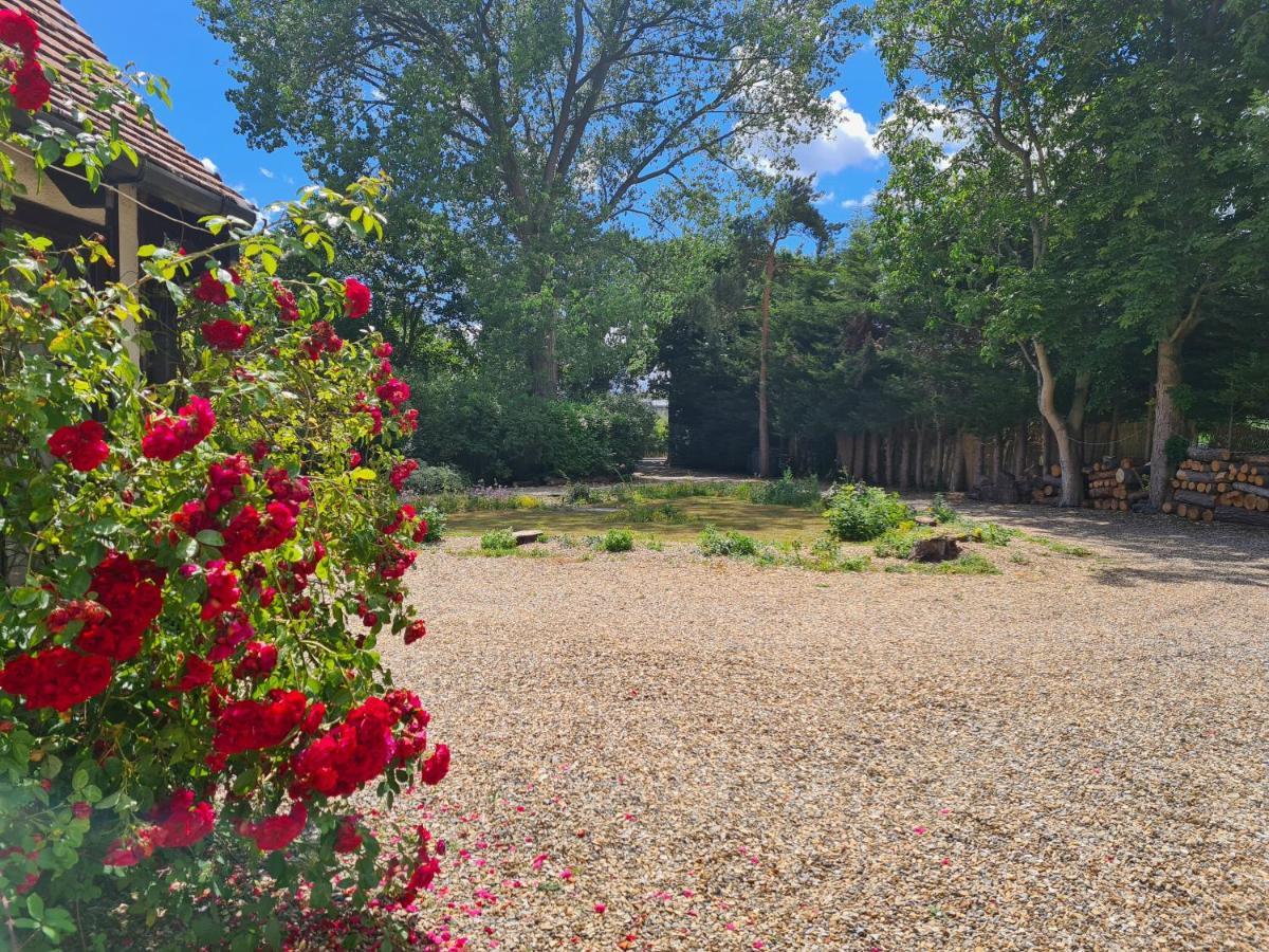 The Reading Whole Apartment With Private Lake And Gardens Экстерьер фото