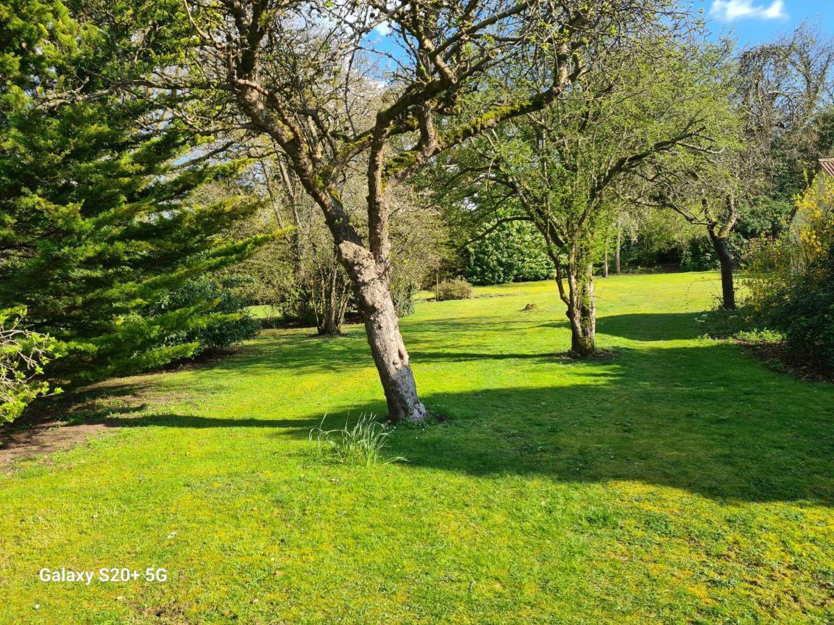 The Reading Whole Apartment With Private Lake And Gardens Экстерьер фото